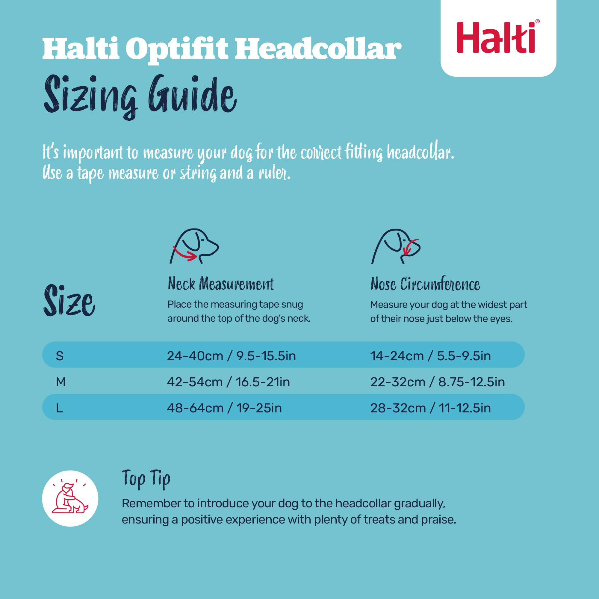 HALTI OptiFit safety link connects to your dog's collar for extra security
