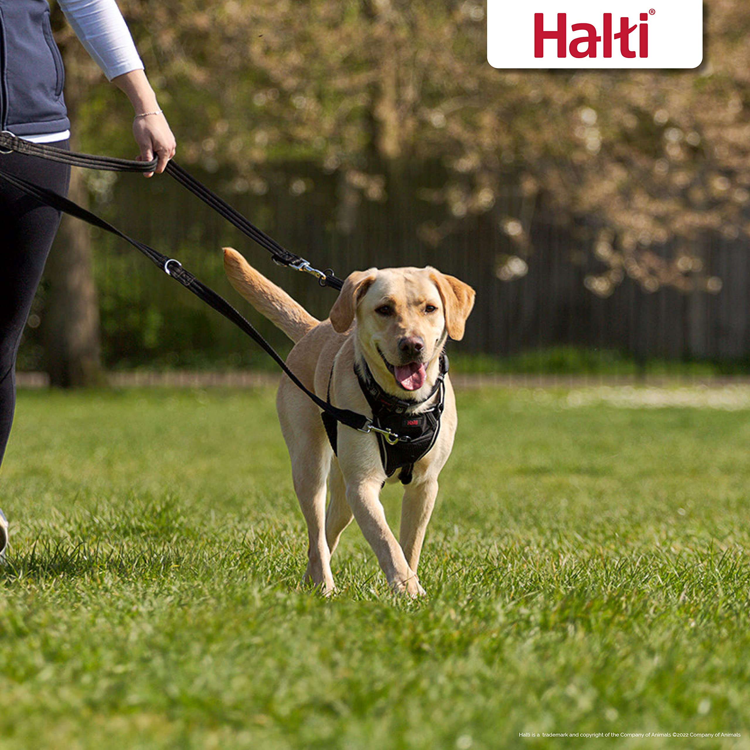 Halti Training Leash durable webbing ensures reliable everyday use in all weather.