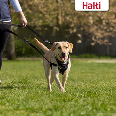 Halti Training Leash durable webbing ensures reliable everyday use in all weather.