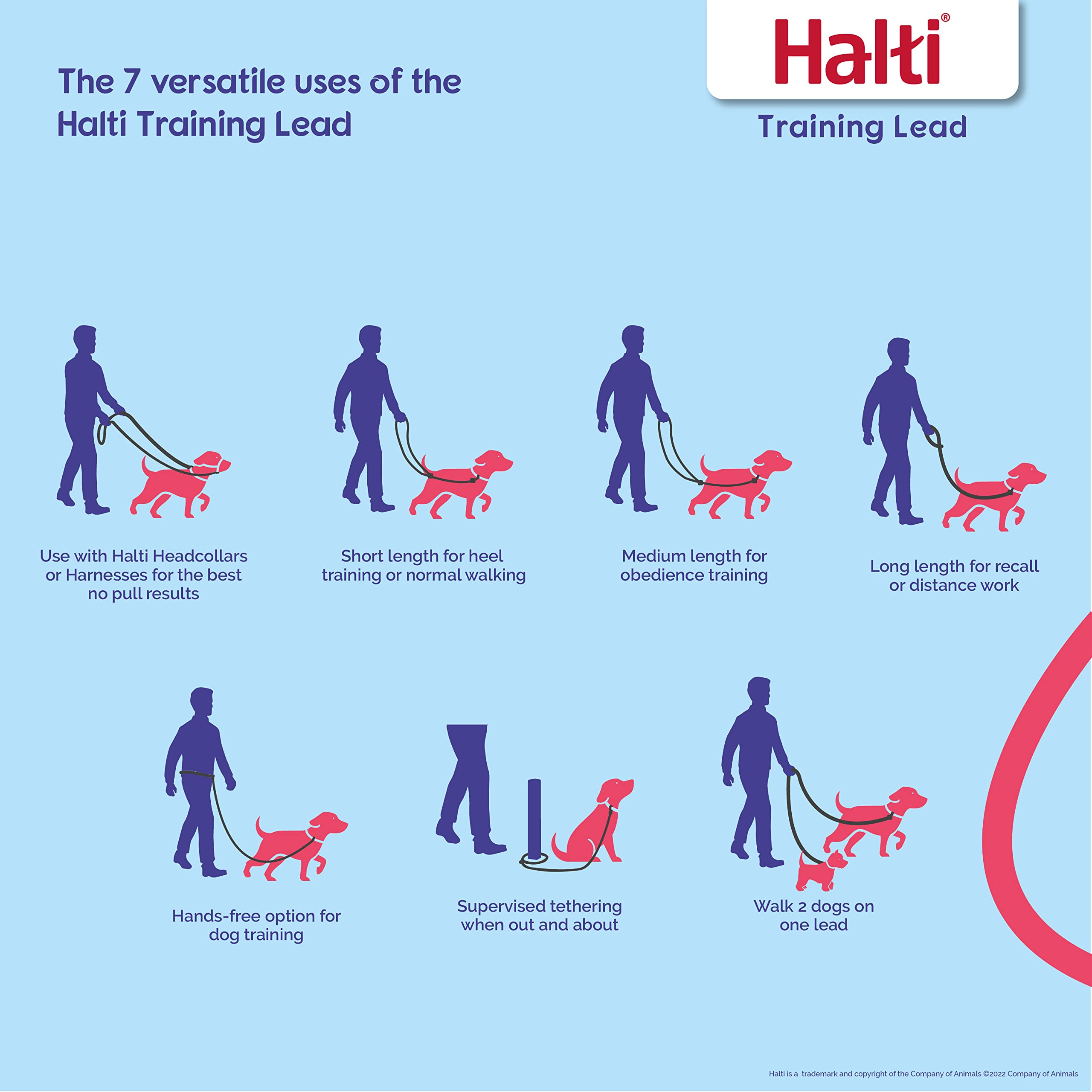 Halti Training Leash soft padded handle provides comfortable grip during long training sessions.