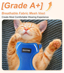 Halypet H200 Pro breathable mesh vest shown for comfortable all-day wear.