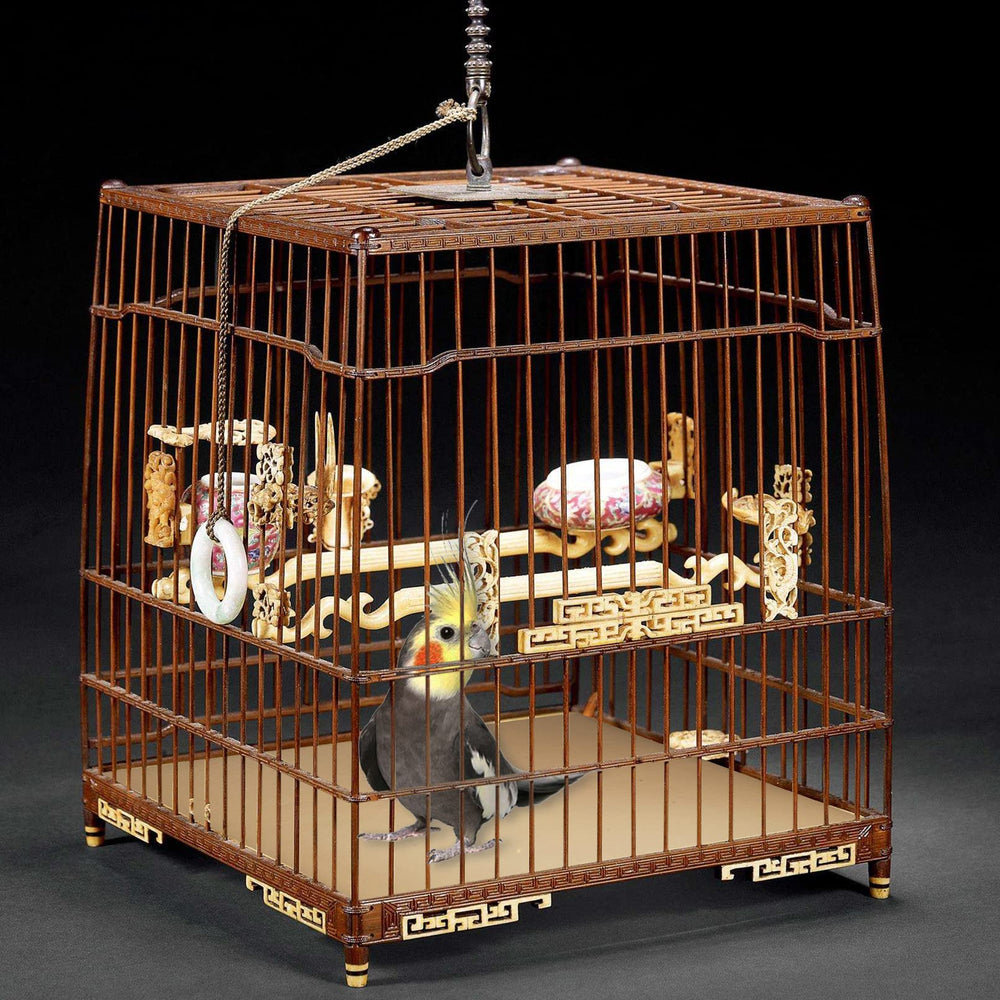Hamiledyi 32 sheets pack provides versatile option for ongoing cage maintenance.