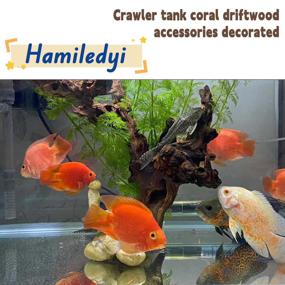 Hamiledyi natural driftwood decor creates a focal point and supports moss attachment.