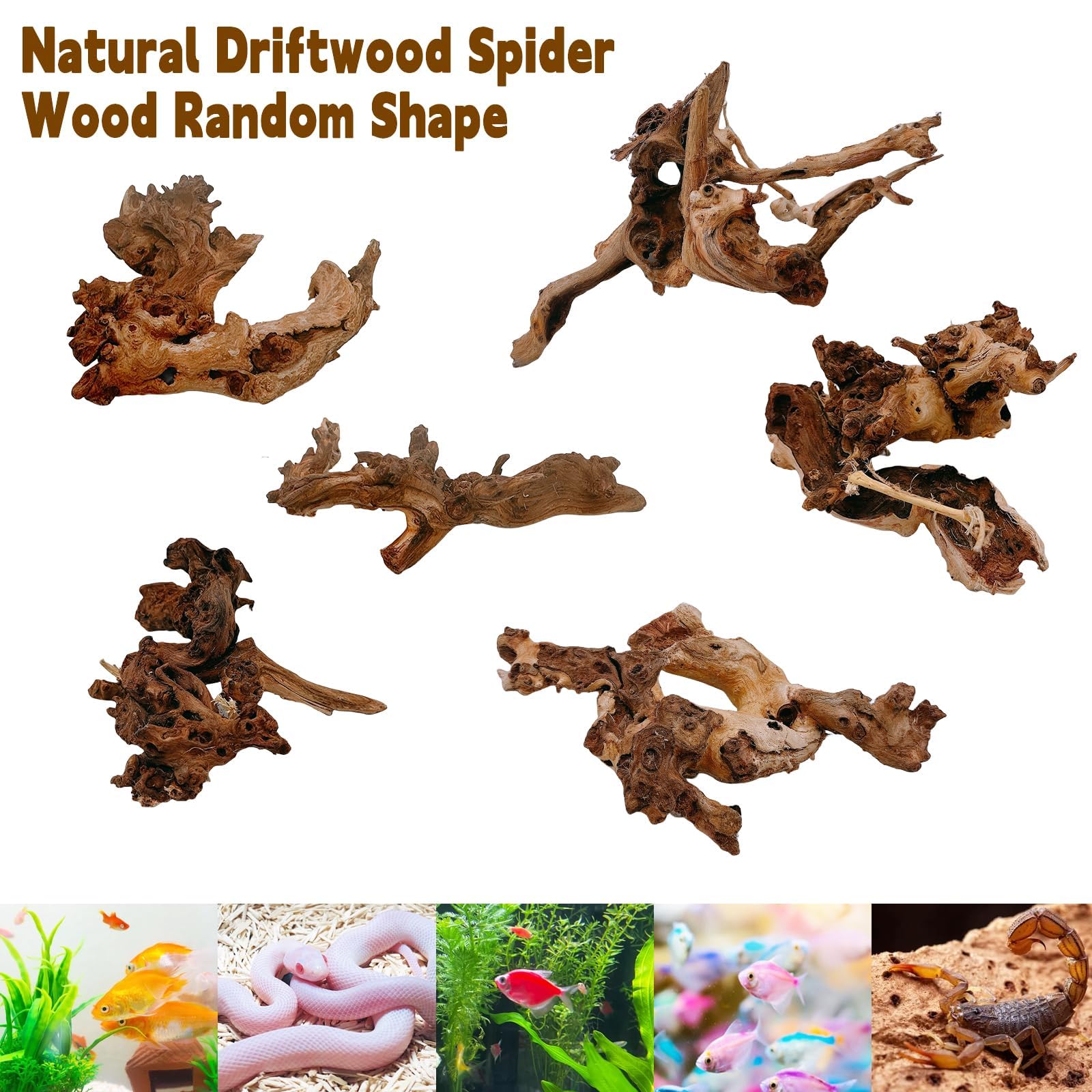 Hamiledyi driftwood care tip: boil to reduce tannins and water staining.