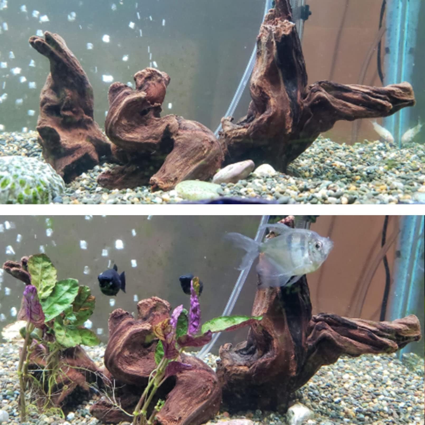 Hamiledyi natural wood decor enhances aquariums with a realistic wood motif.