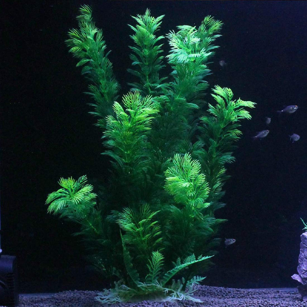 Hamiledyi aquarium plants no maintenance silk leaves are easy to clean
