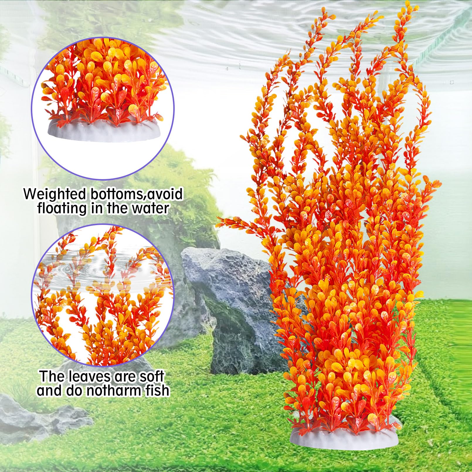 Hamiledyi orange-style-b top-down, vibrant leaves enhance aquarium aesthetics with minimal maintenance.