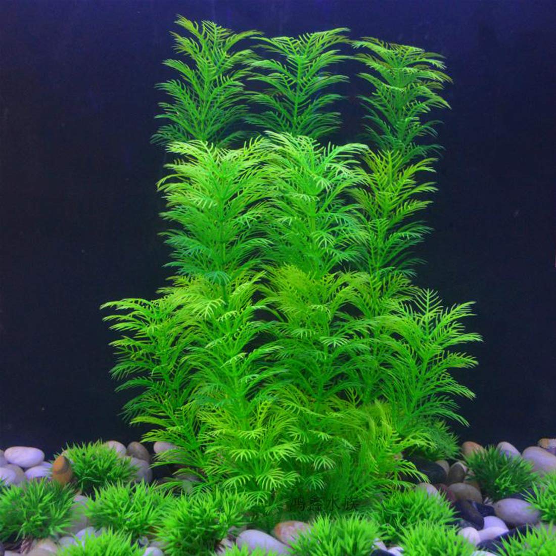 Hamiledyi aquarium plants varied heights fit tanks from 2 to 11 inches