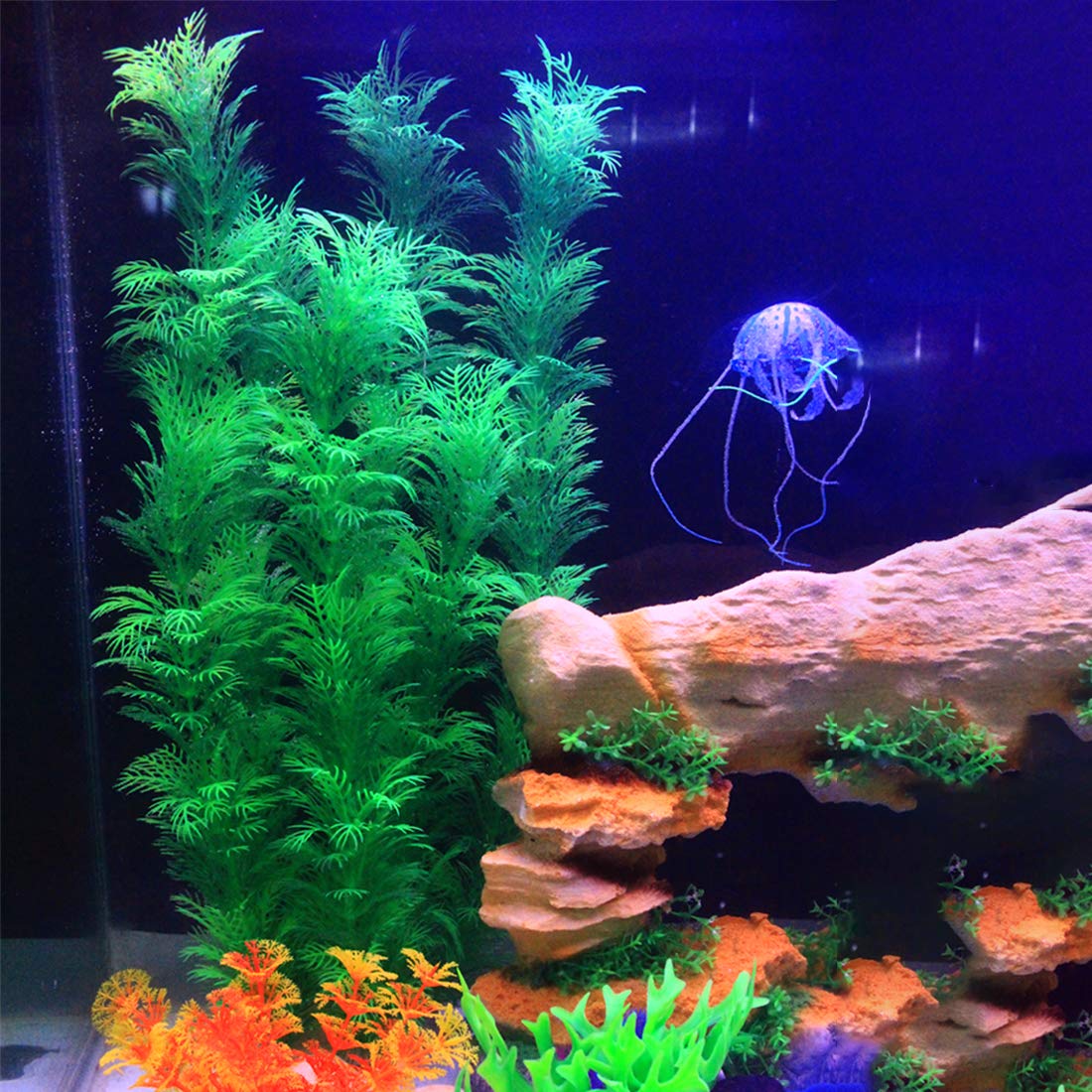 Hamiledyi aquarium plants vibrant green color stays bright underwater