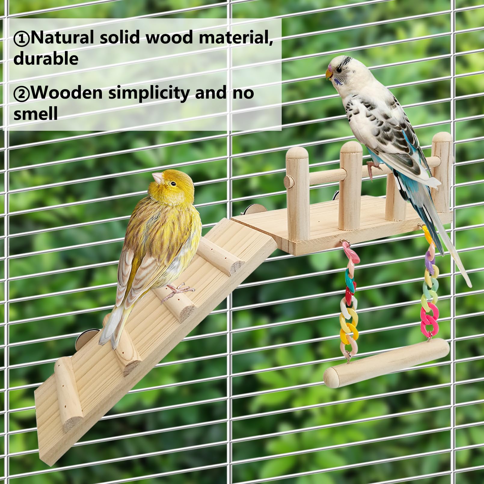 Hamiledyi ladder and swing in cage show versatile climbing and resting options.