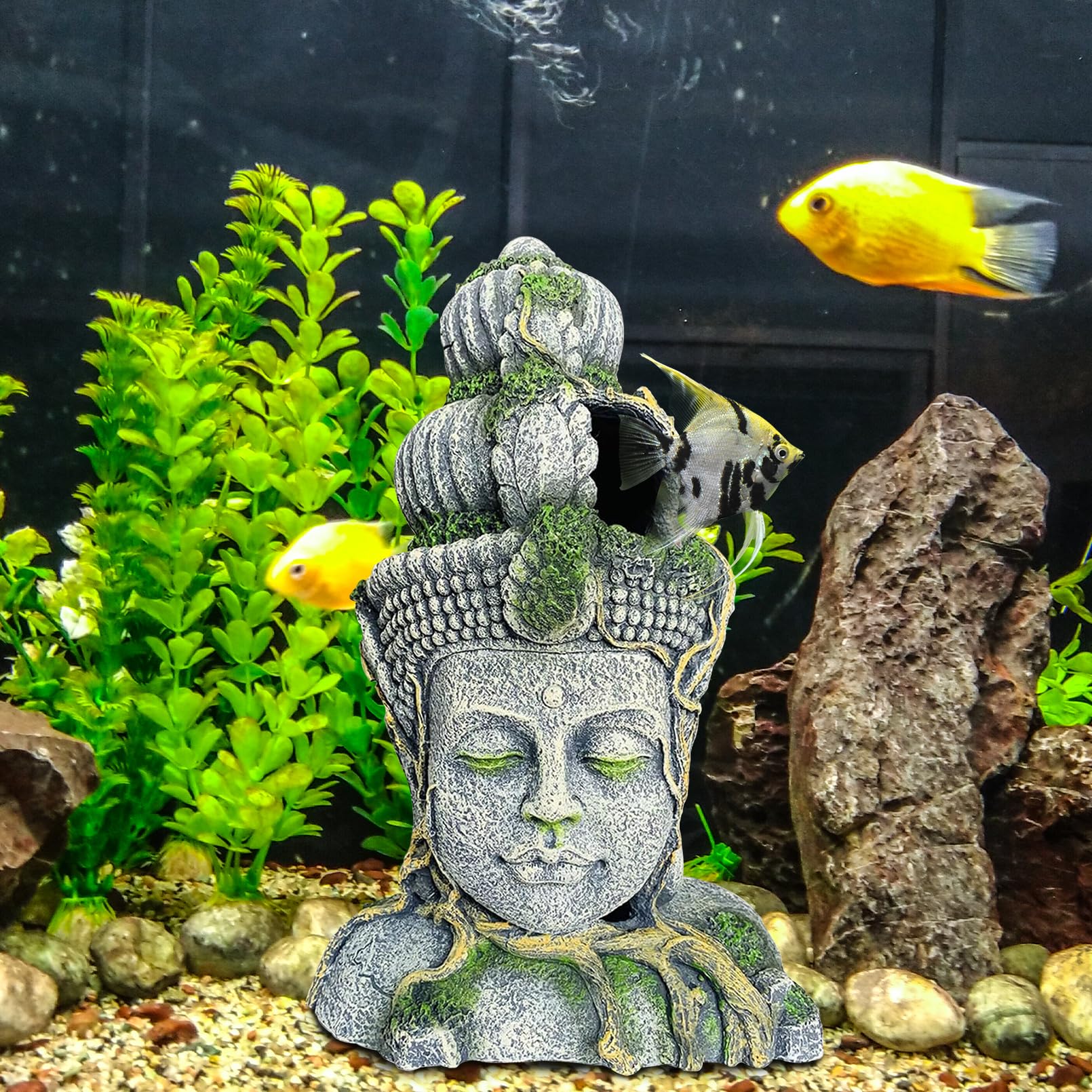 Hamiledyi Buddha head close-up resin finish highlights vivid color for tank drama