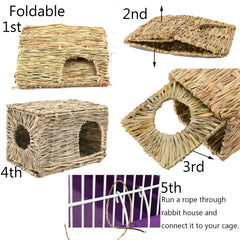 Hamiledyi bunny grass house nest sniff scene encourages exploration and burrowing