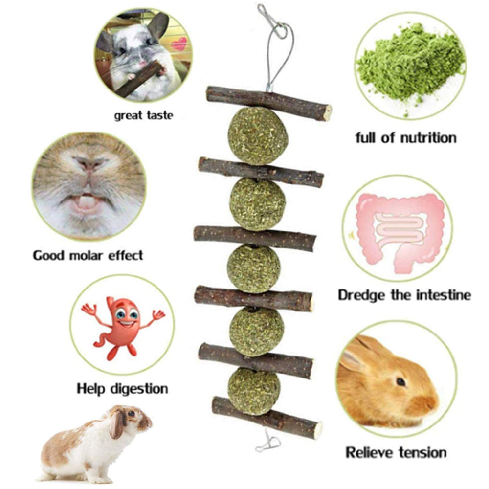 Hamiledyi bunny hanging toys with Timothy balls add interactive play