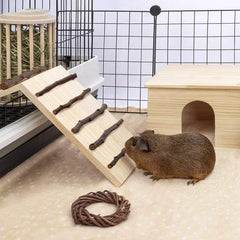Hamiledyi cage-bridge-connector helps pets move safely between cages.