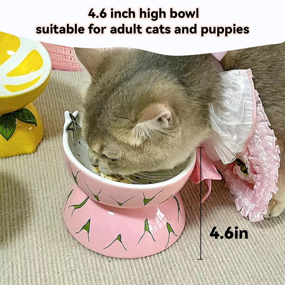 Hamiledyi dual bowls for food and water in one set