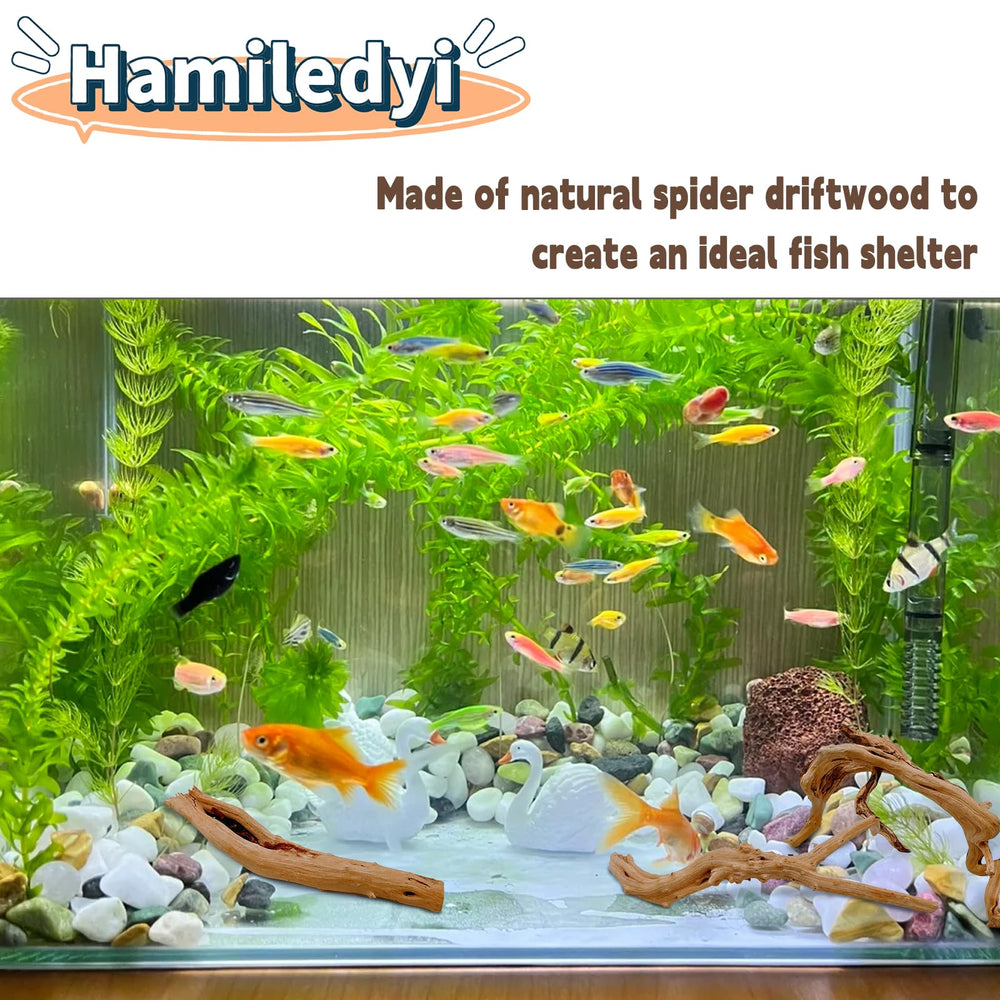 Hamiledyi driftwood 6-8in branch cluster creates hiding spots for shy fish and shrimp.