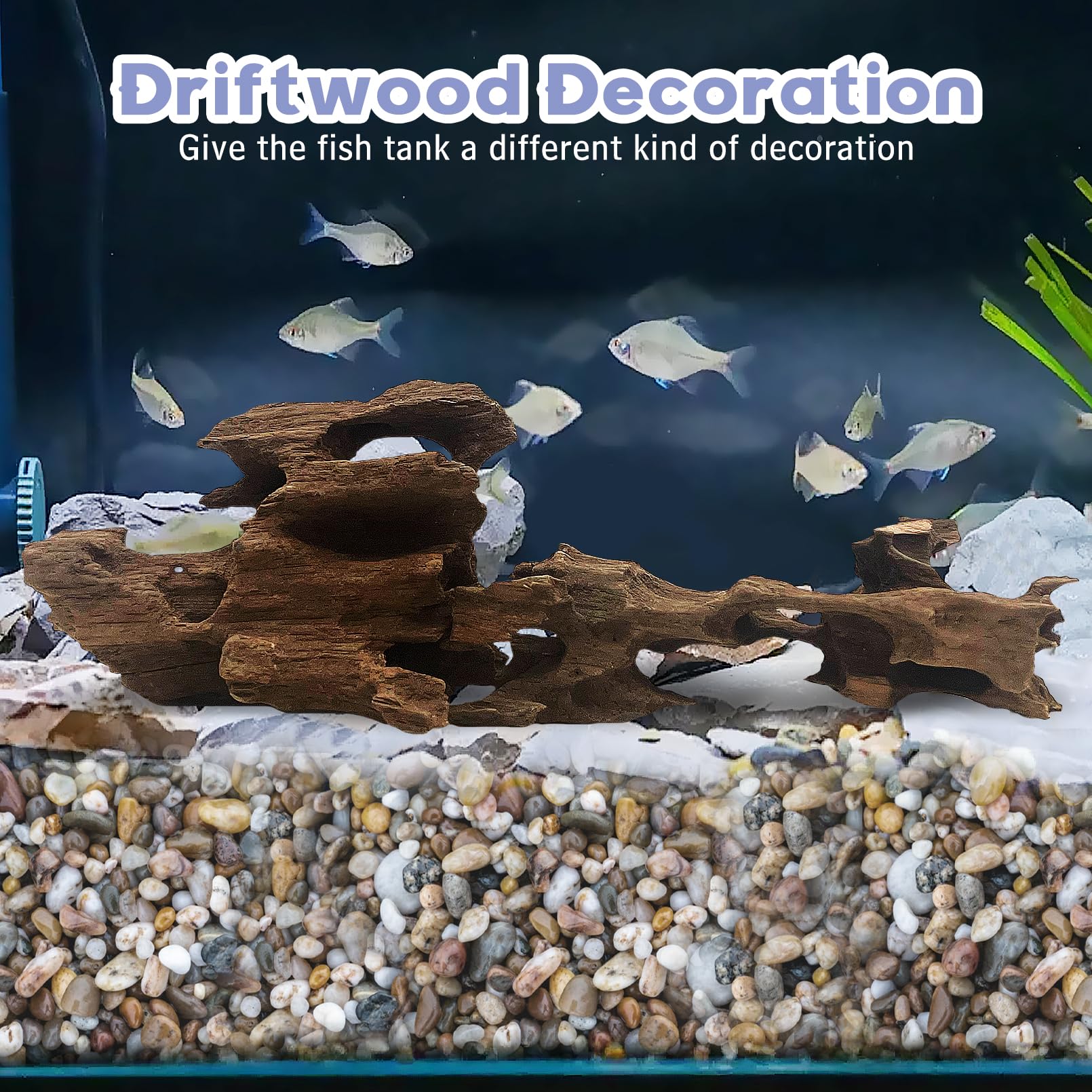 Close-up of Hamiledyi driftwood decor with holes for shrimp and small fish