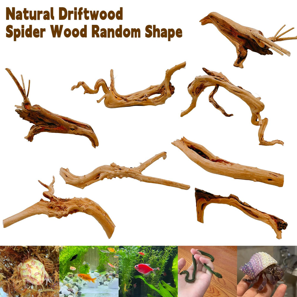 Hamiledyi driftwood aquarium setup idea demonstrates versatile placement and easy maintenance.