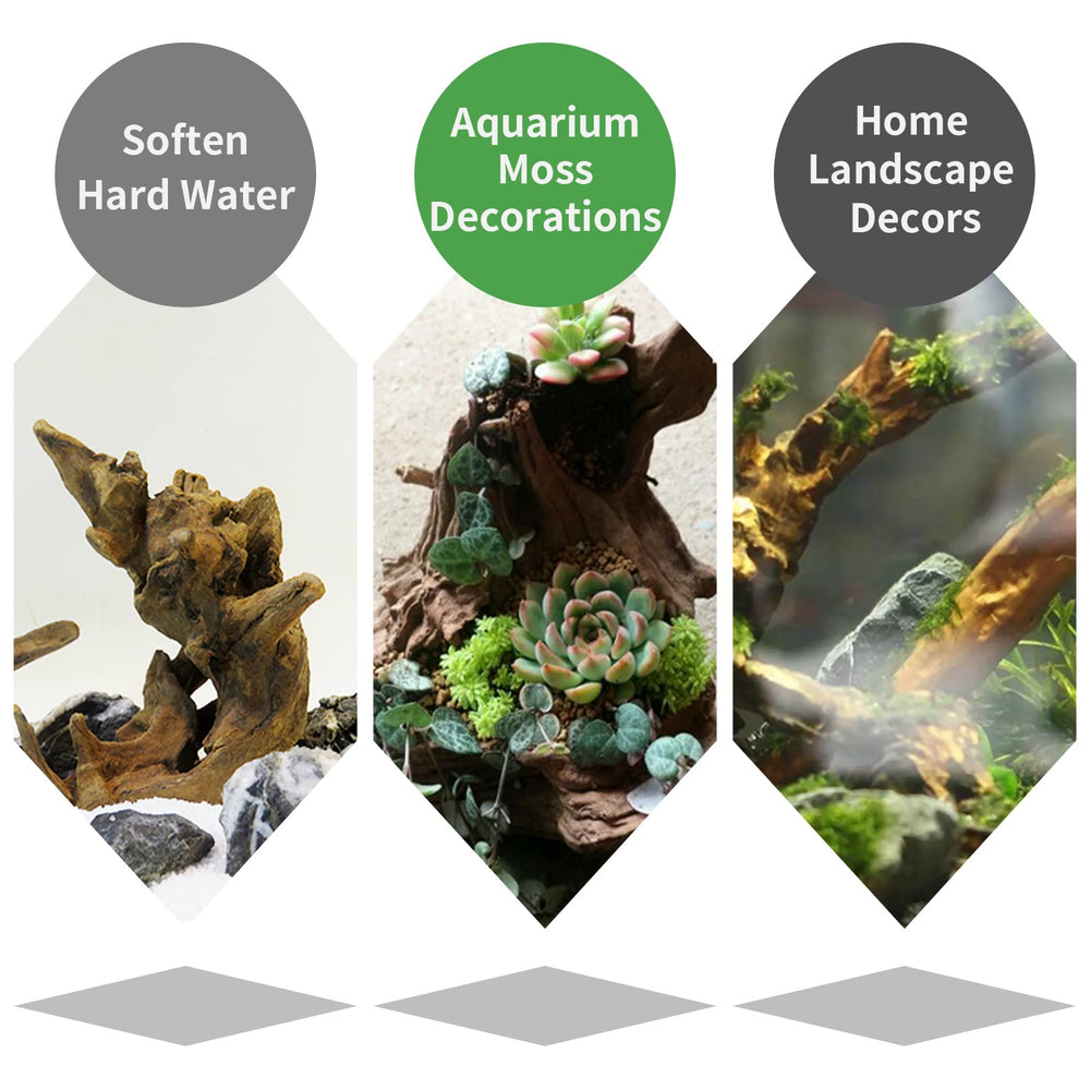 Hamiledyi assorted sizes suit small tanks and terrariums with flexibility