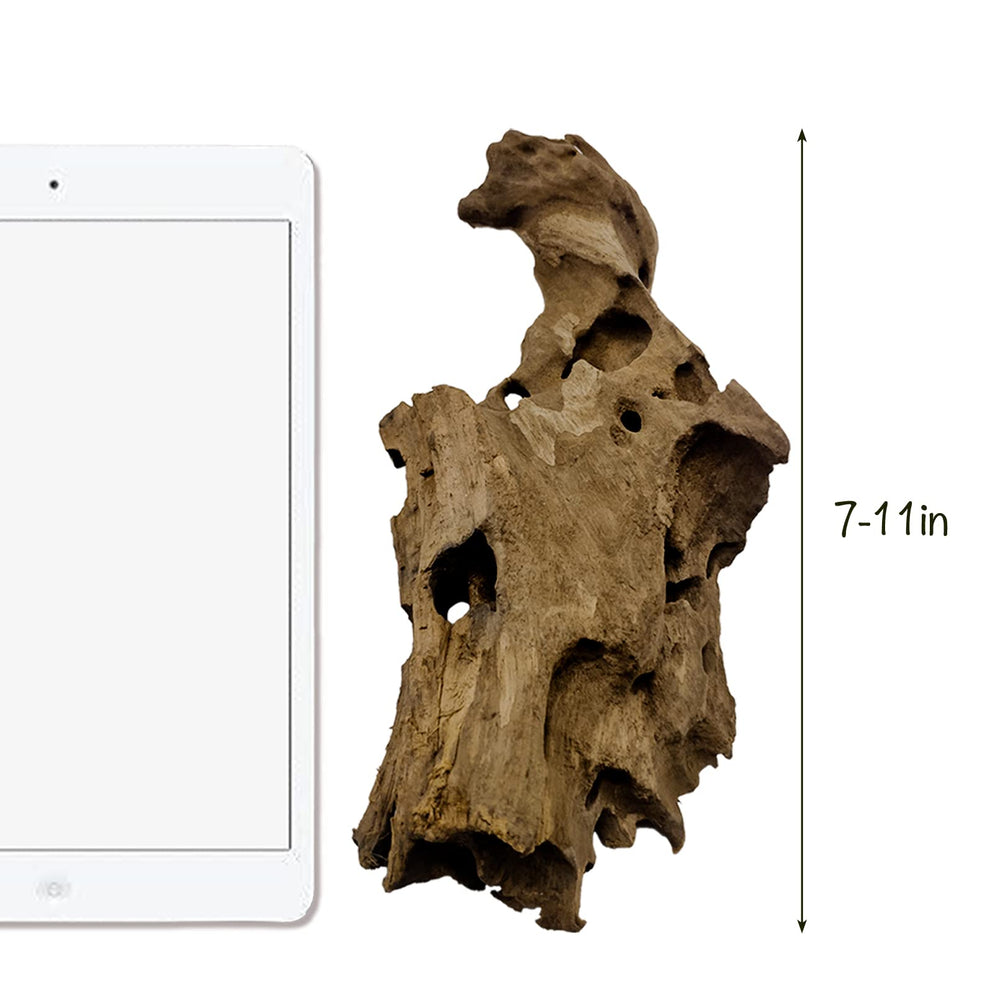 Hamiledyi driftwood habitat ornament enhances terrarium aesthetics