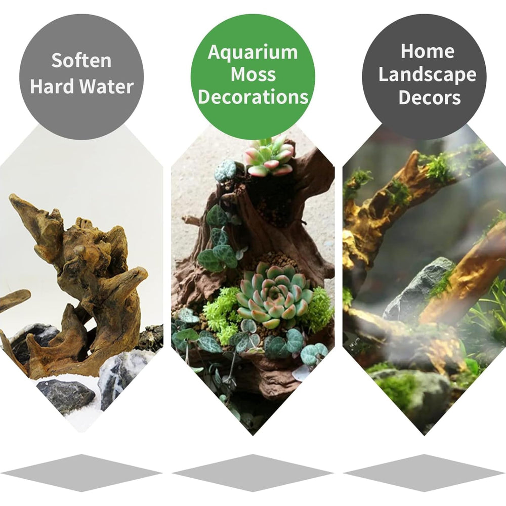 Hamiledyi driftwood lizard habitat provides natural shelter and enrichment.