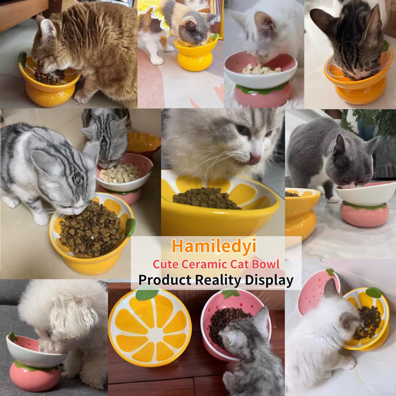 Hamiledyi durable ceramic bowls resist tipping during busy meals
