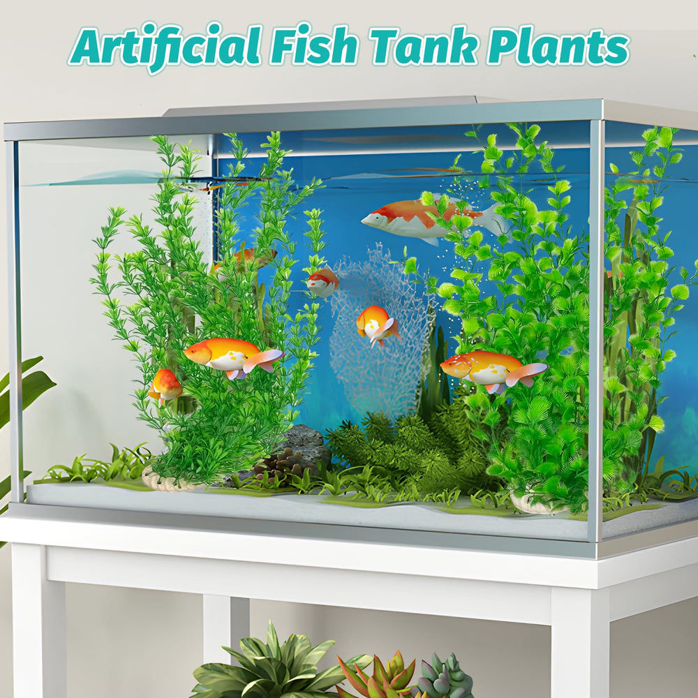 Hamiledyi easy-maintenance plants save time on tank upkeep