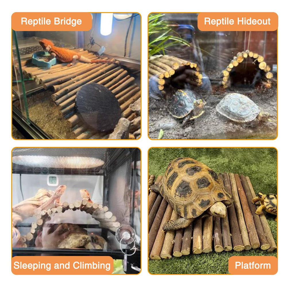 Hamiledyi extra-large reptile hideout interior view shows a cozy privacy hide space for rest.