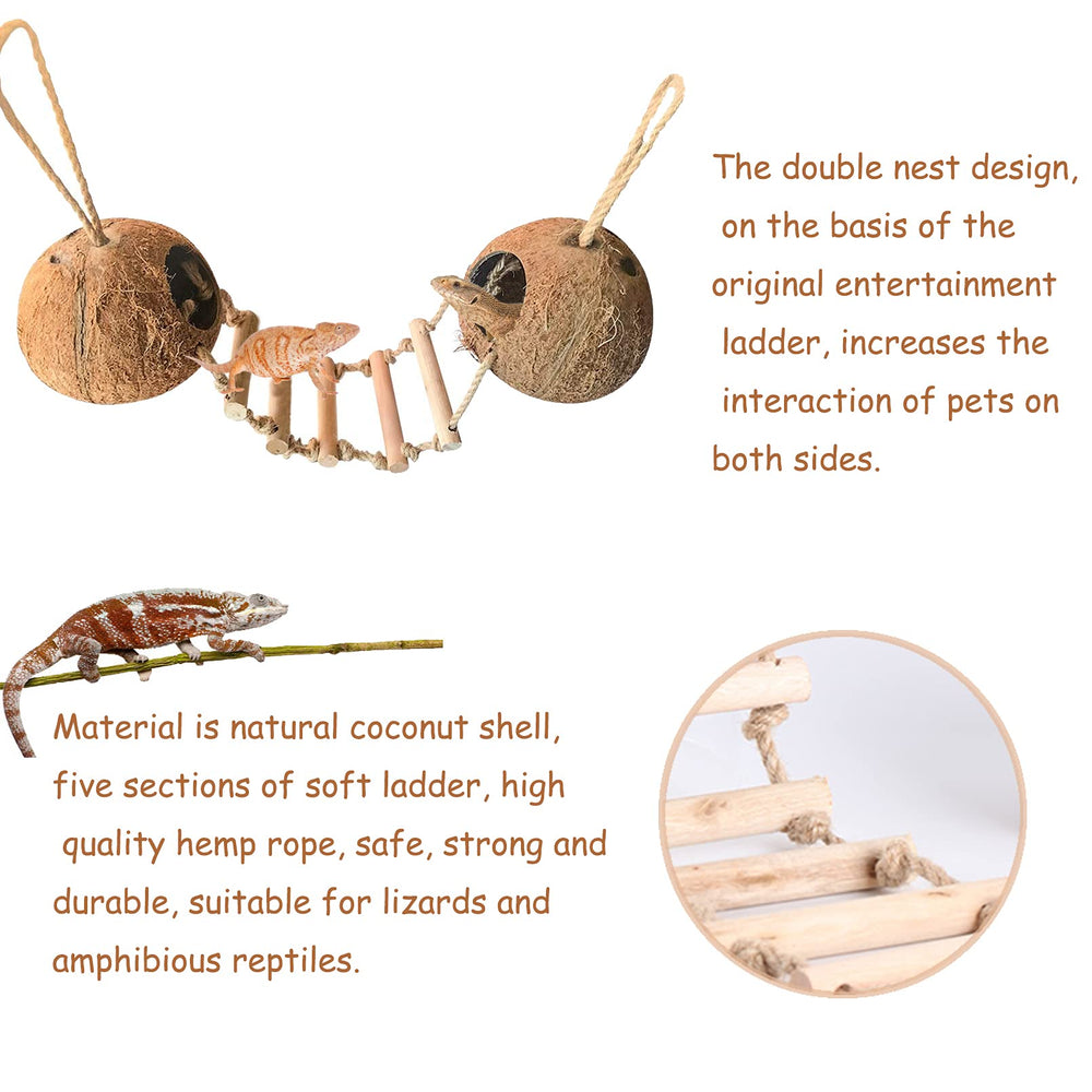 Hamiledyi Gecko Coco Den coconut-shell-entrance blends with natural decor while housing your reptile.