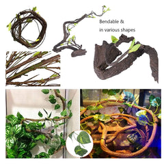 Hamiledyi Gecko Coco Den inside-hideout offers secure retreat for geckos and small lizards.