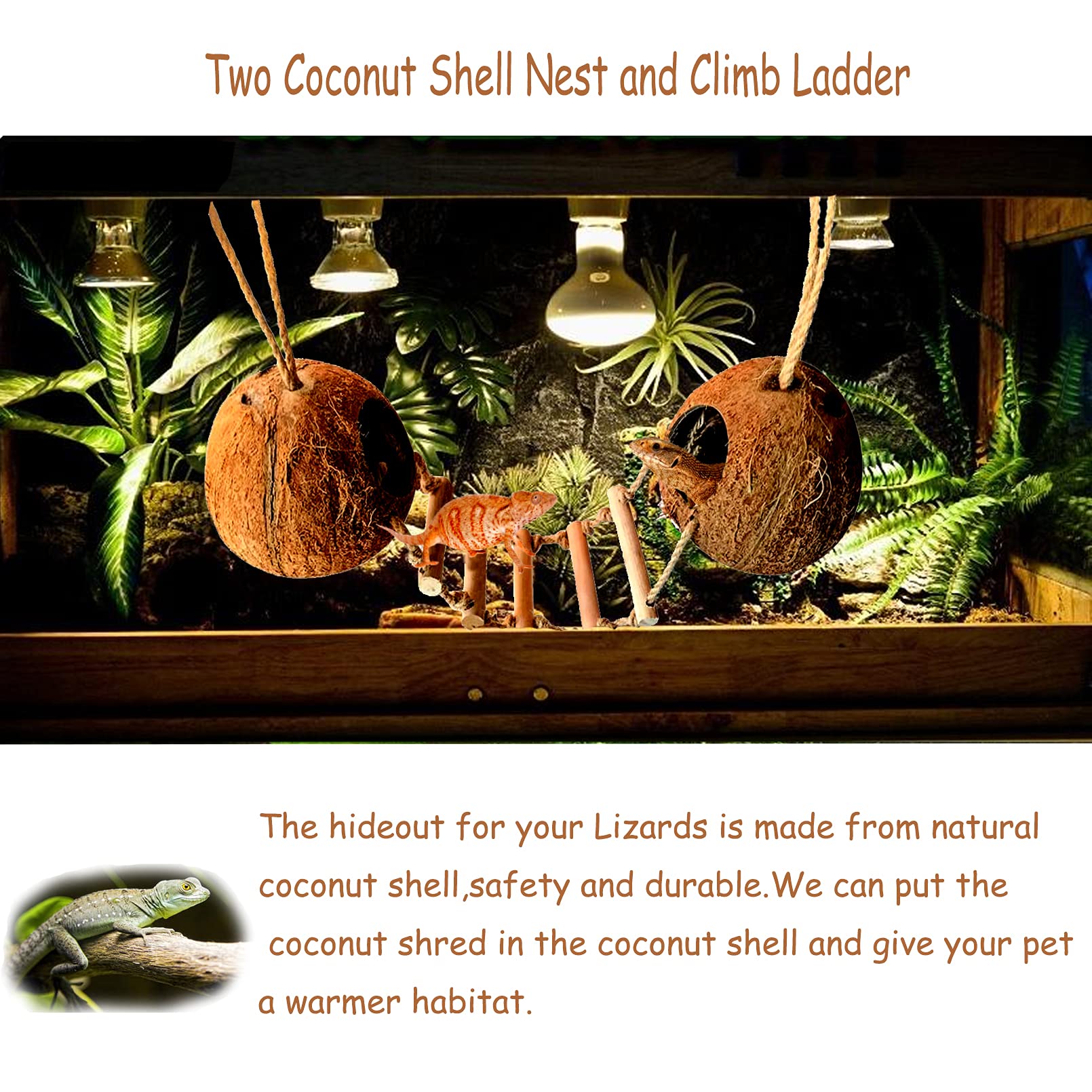 Hamiledyi Gecko Coco Den natural-aesthetic enhances terrarium look while providing enrichment.