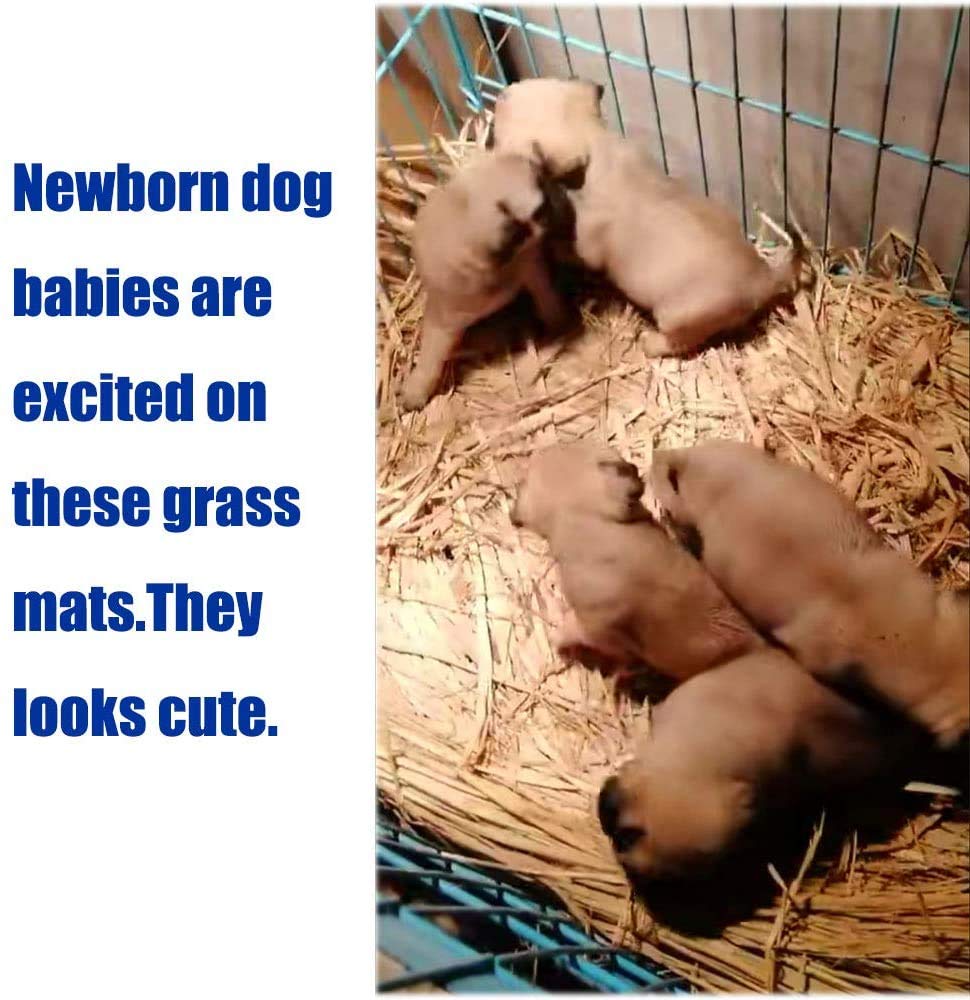 Hamiledyi grass mat absorbent surface helps keep cages clean.