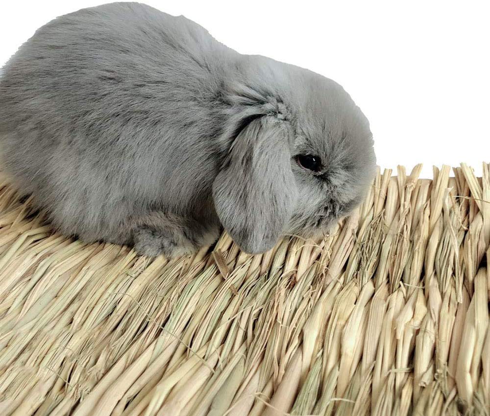 Hamiledyi Grass Mat Foraging Bird: natural surface supports exploration and play
