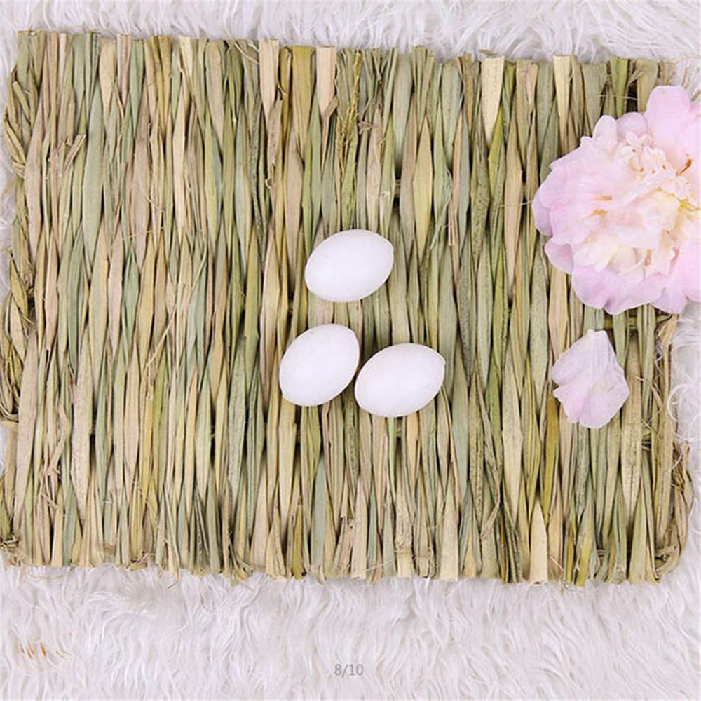 Hamiledyi Grass Mat Soft Lounge: comfortable napping spot for small pets