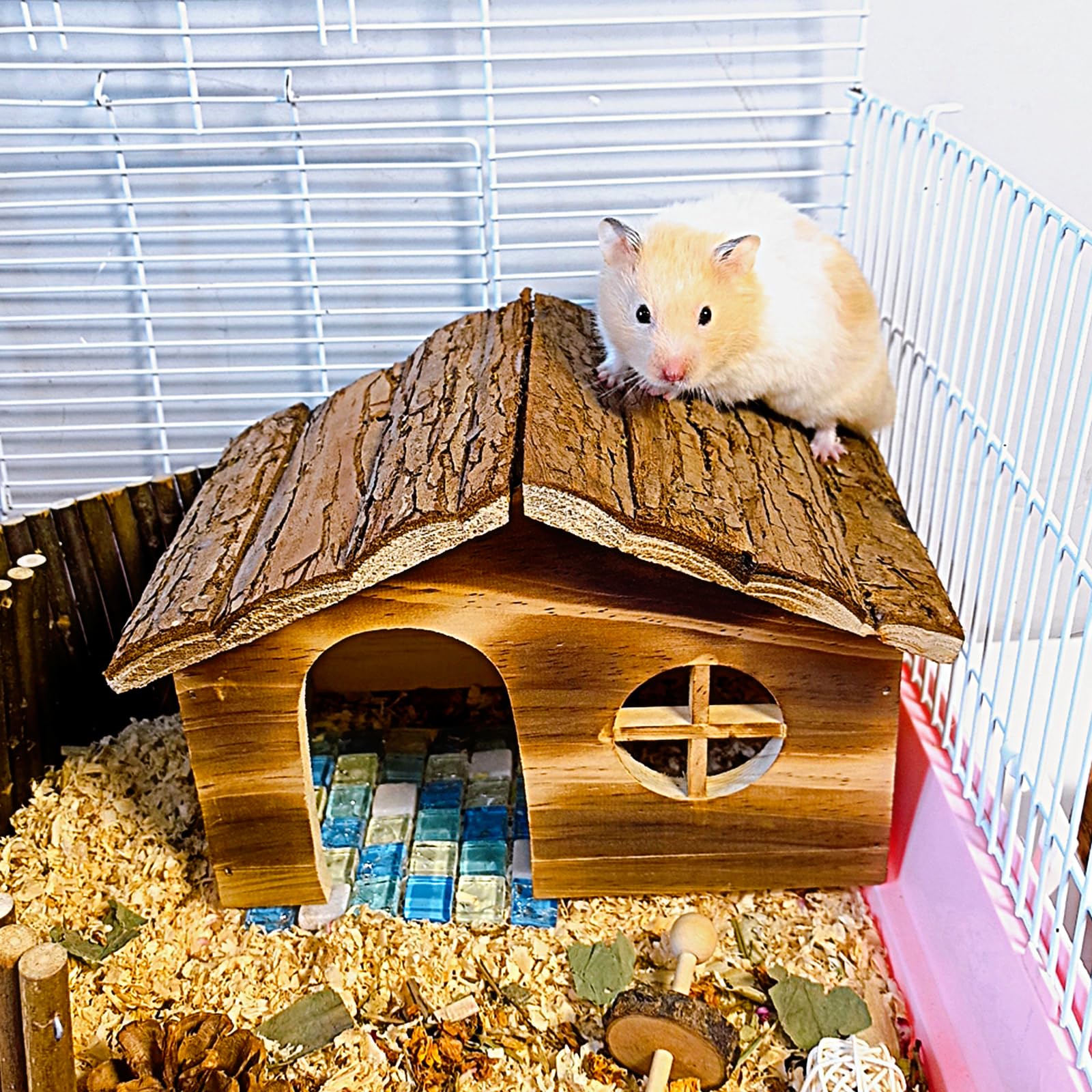 Hamiledyi hamster door entry view demonstrating easy access