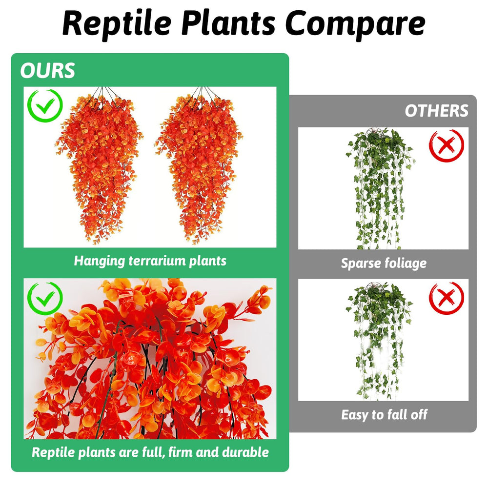 Hamiledyi plant with three-dimensional branching creates natural climbing spaces.