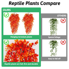 Hamiledyi plant with three-dimensional branching creates natural climbing spaces.