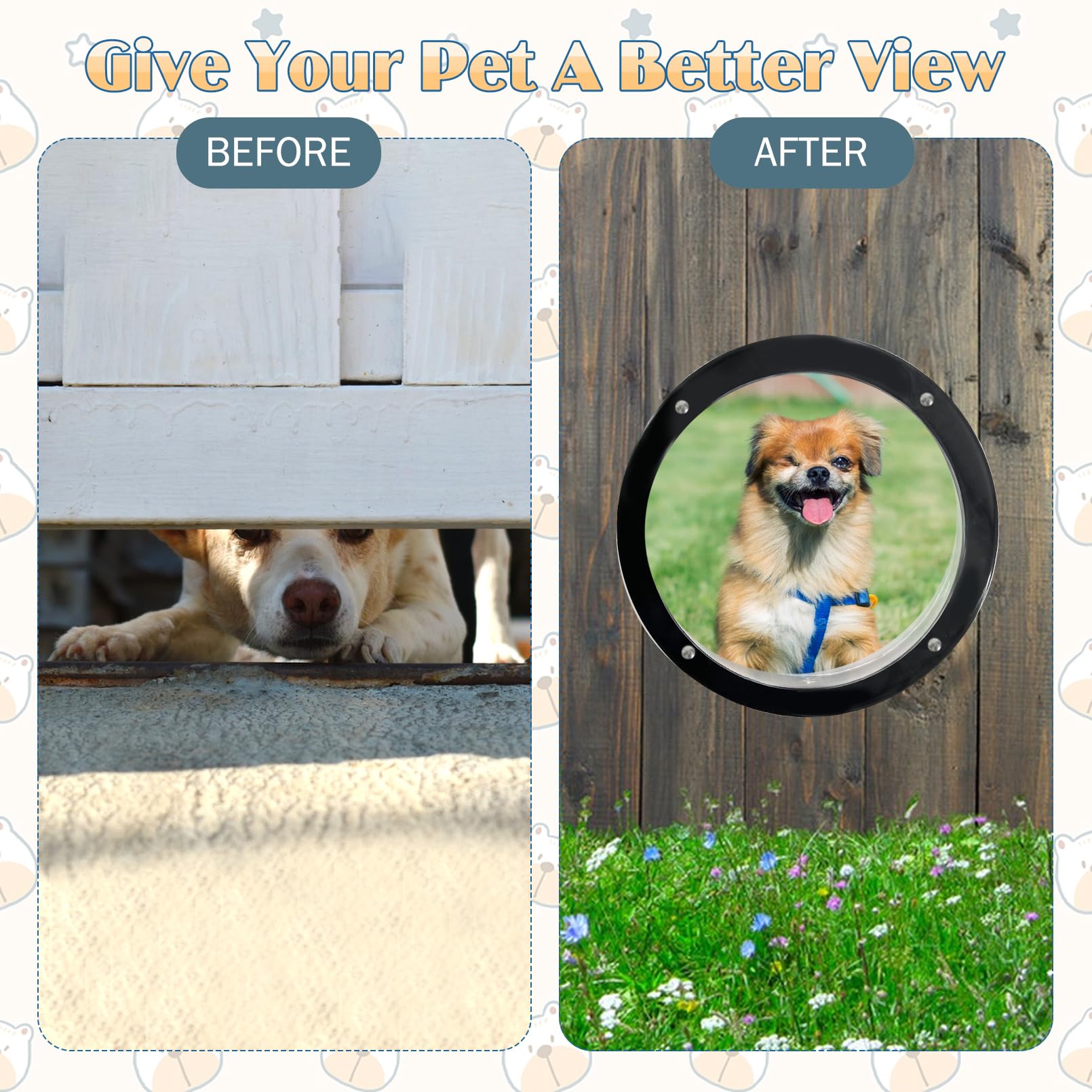 Hamiledyi kennel and cat-care applications expand play areas and safe exploration