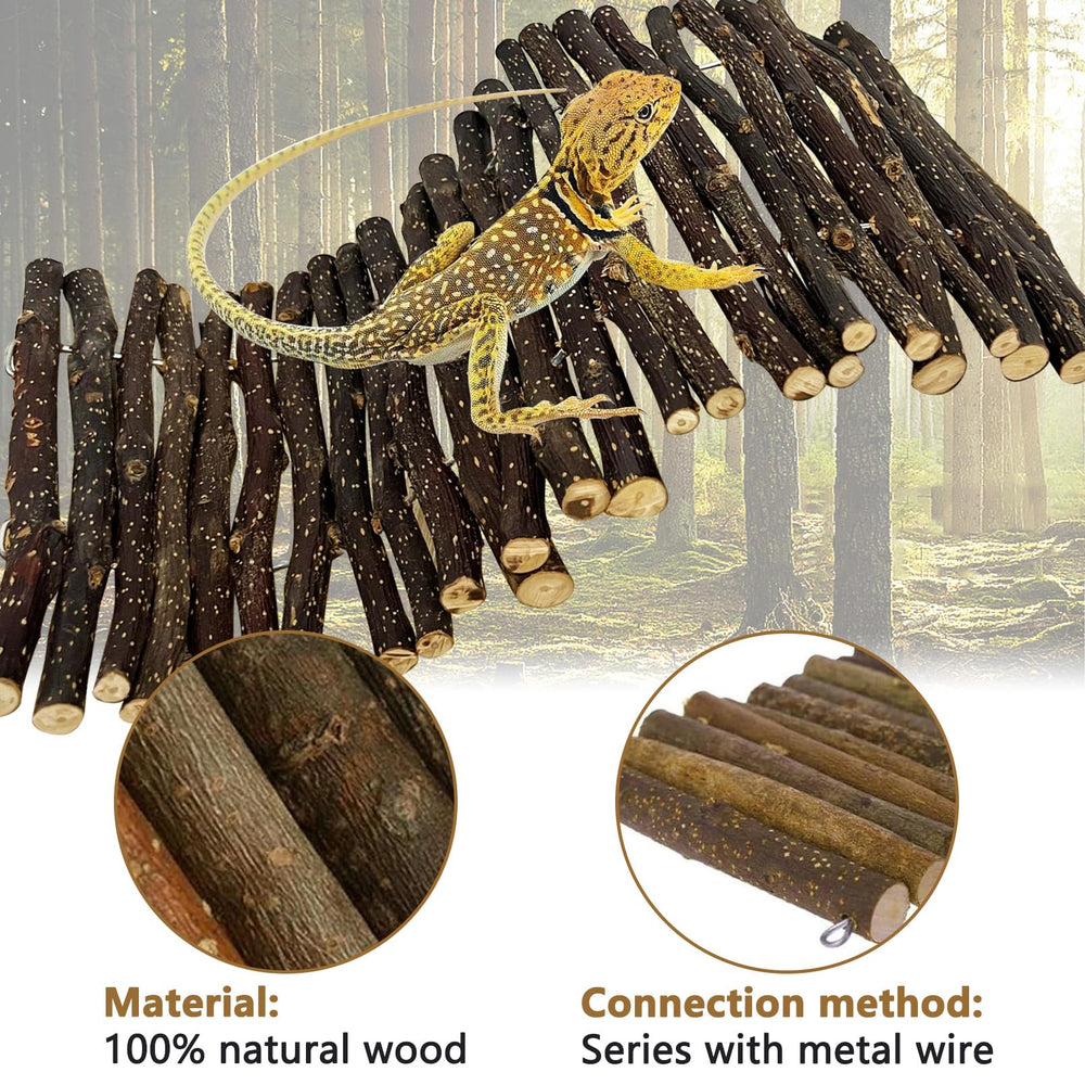 Hamiledyi large hiding cave measures 15.8 by 7.9 inches
