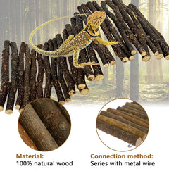 Hamiledyi large hiding cave measures 15.8 by 7.9 inches