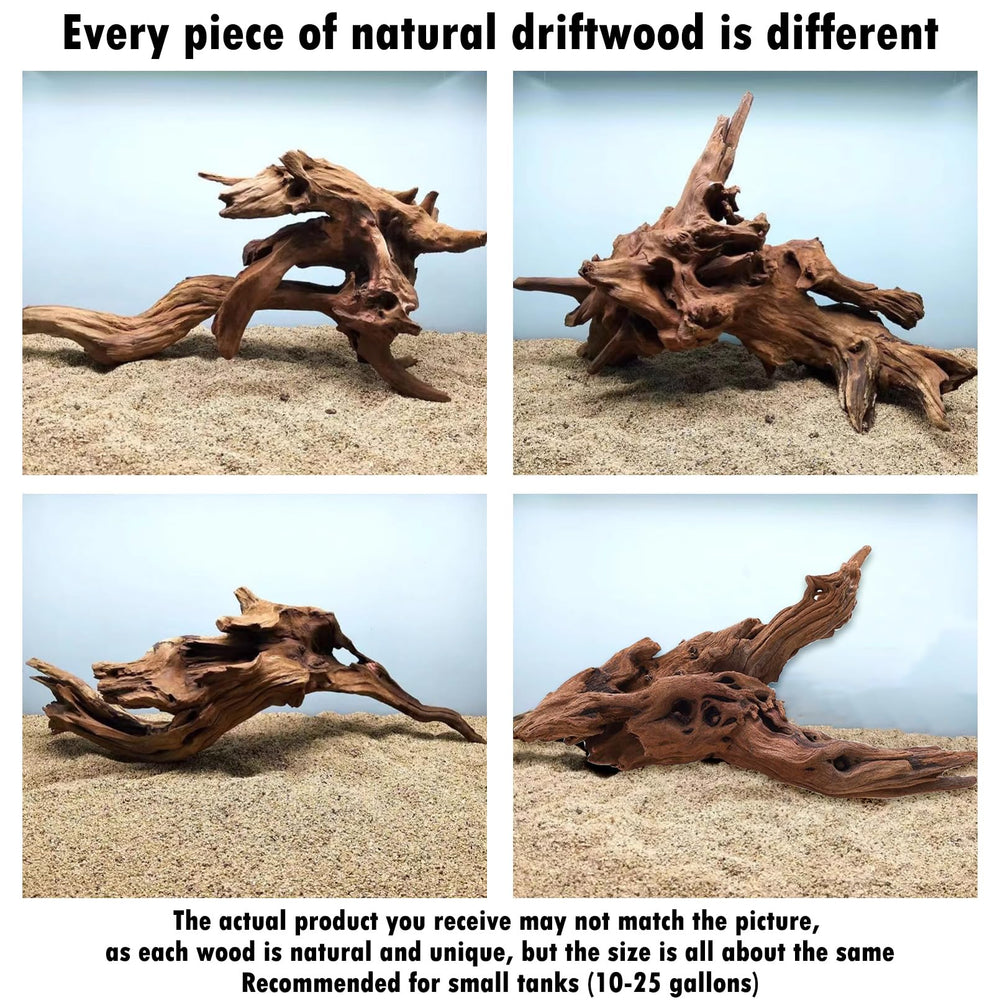 Hamiledyi moss-tree style decor sparks exploration and foraging behavior in tanks.