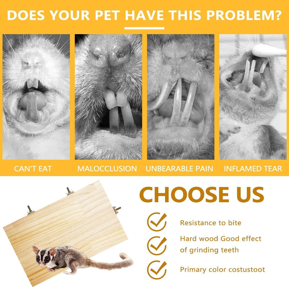 Hamiledyi multi-pet compatibility platform illustrates versatile use for chinchilla, guinea pig, and bird