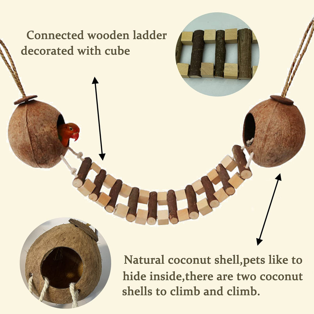 Hamiledyi natural coconut shell highlights eco friendly materials