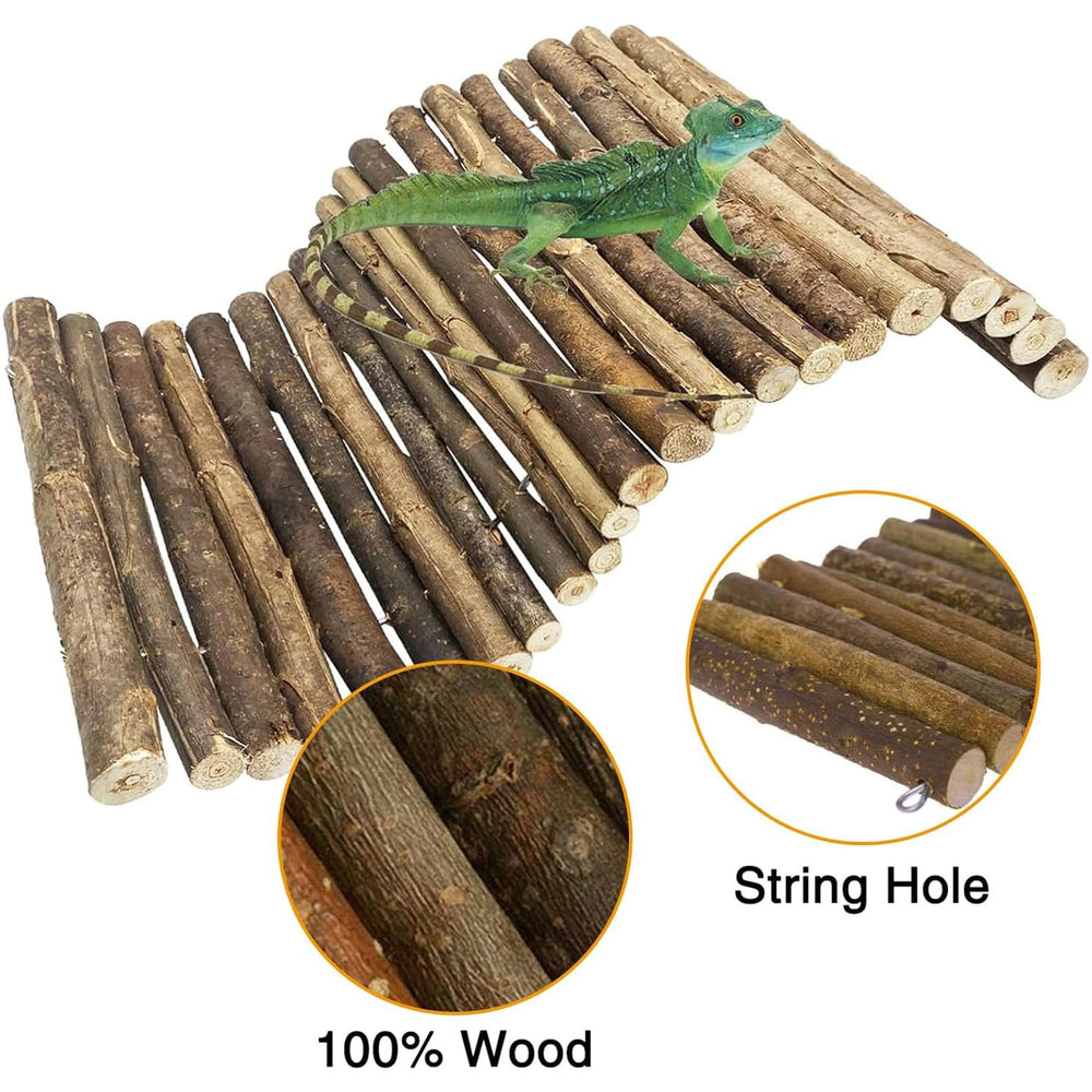 Hamiledyi natural wood habitat ramp offers durable, additive-free play.