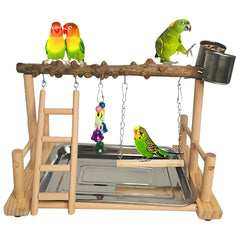 Hamiledyi parrot playground wood playstand — sturdy perch for safe climbing and exploration.