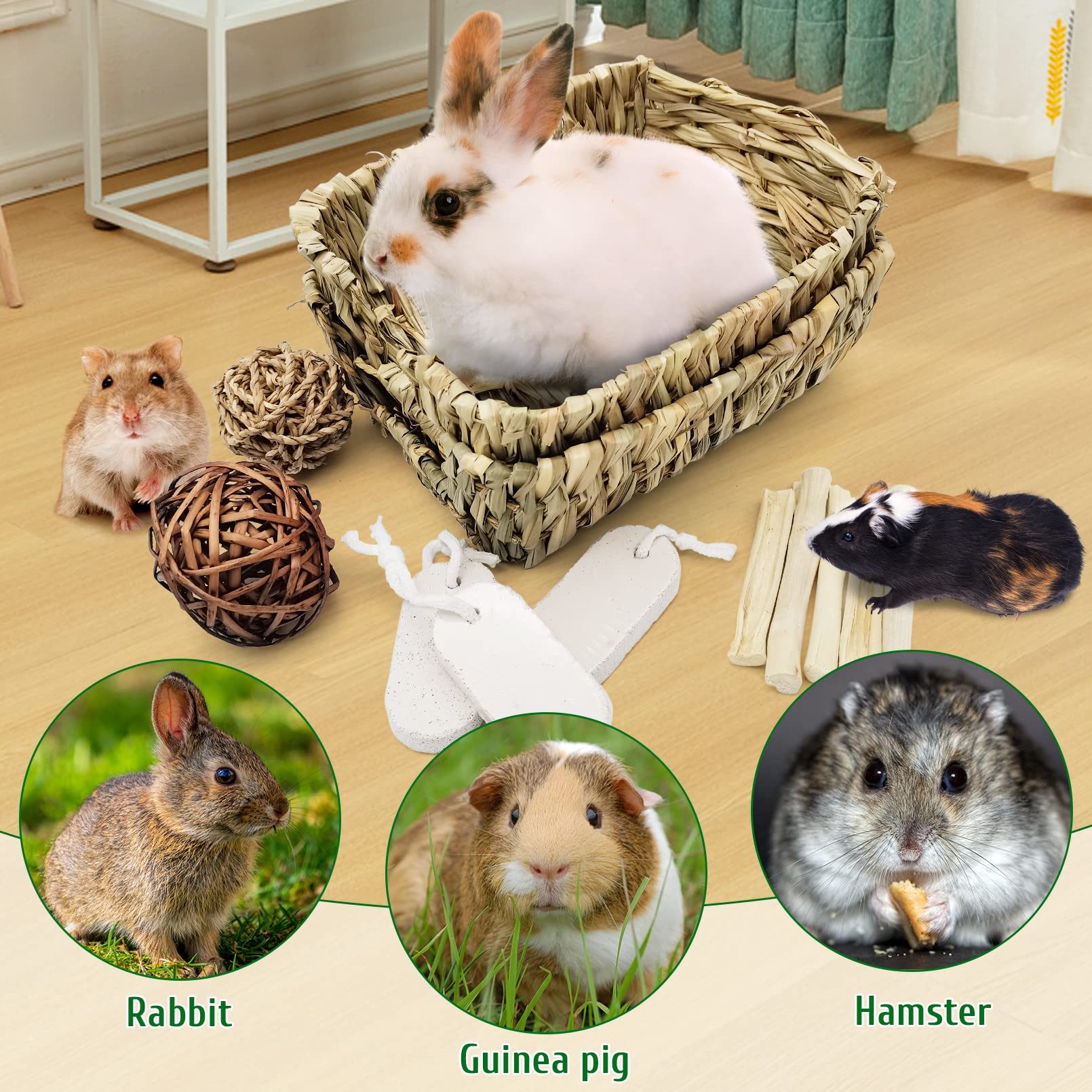 Hamiledyi pet enjoying grass bed nesting shot suggests versatile resting and play time.