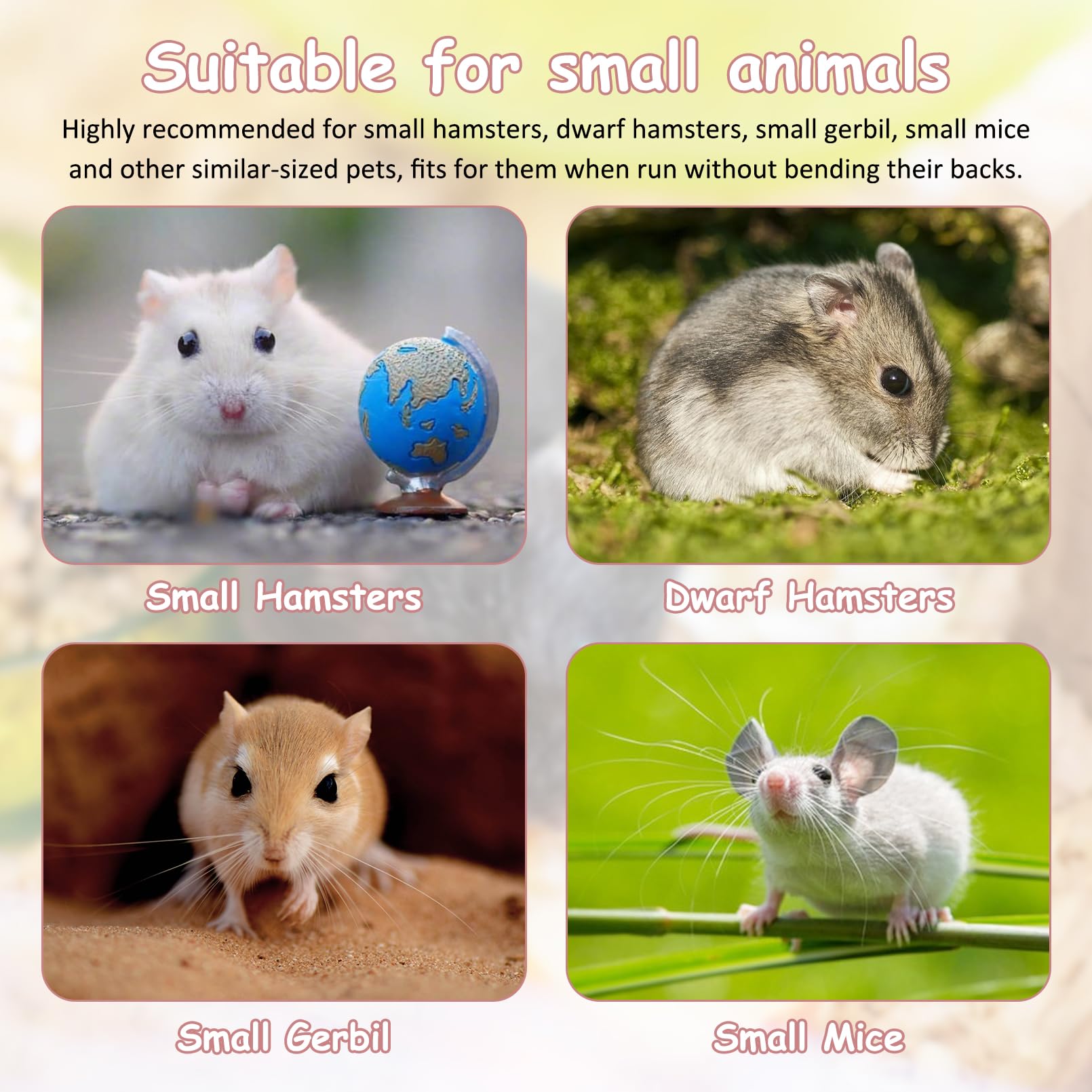 Dwarf rodents benefit from Hamiledyi's sturdy wooden wheel during daily exercise.