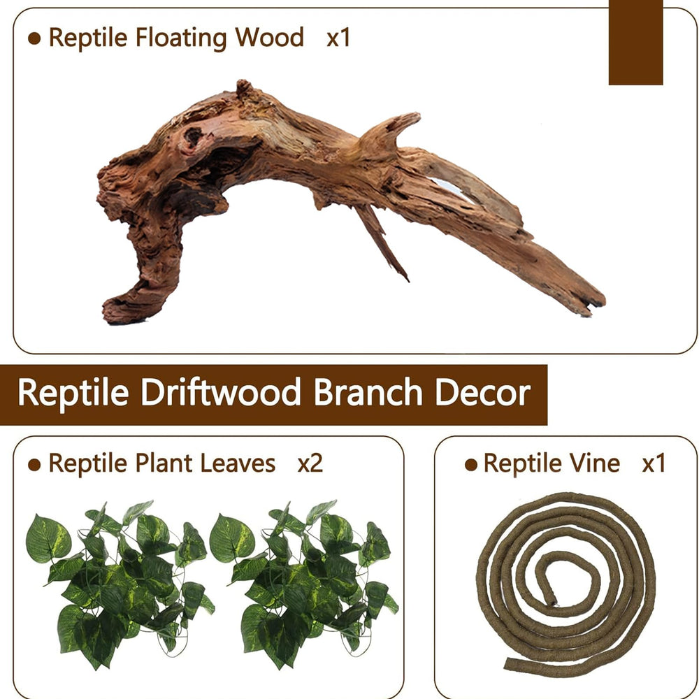 Hamiledyi PP-leaved vines resist fading, maintaining vibrant look in aquariums.