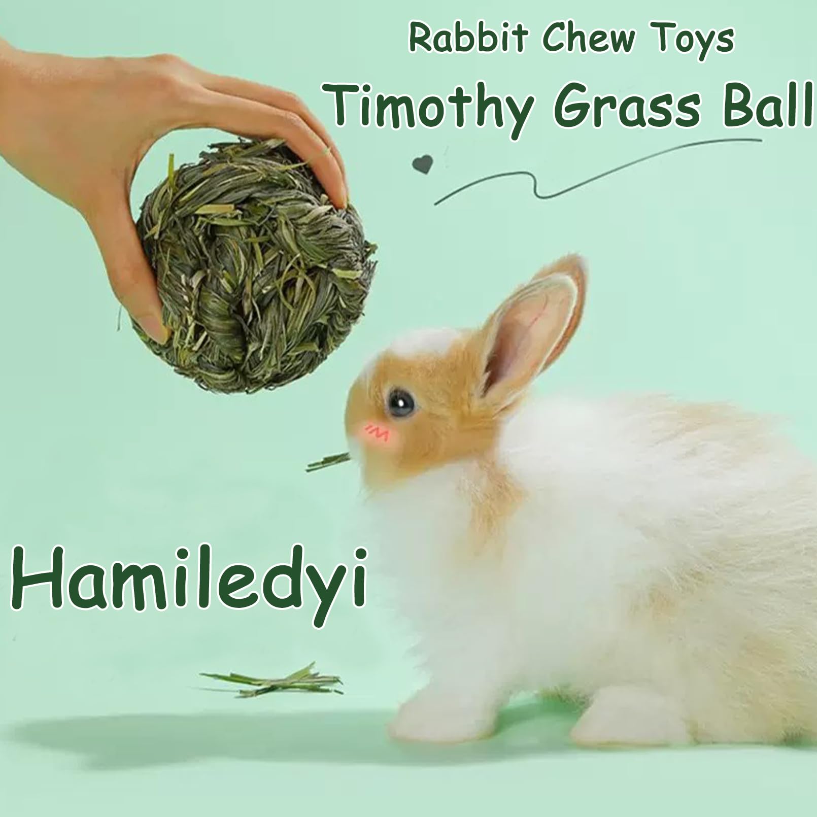 Hamiledyi Rabbit Chew Ball 6-pack supports shared play and value