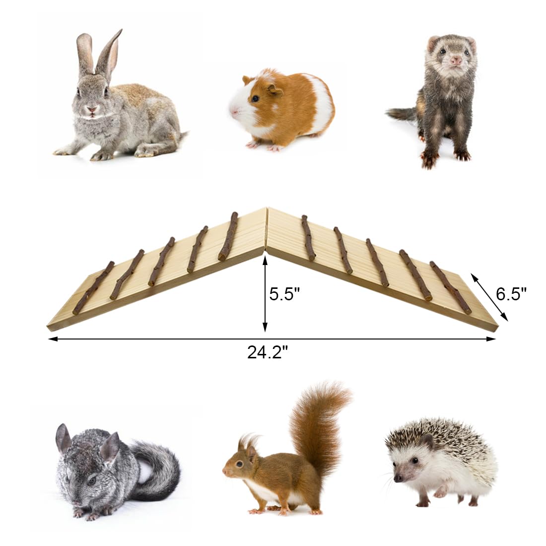 Hamiledyi ramp-dimensions-24in-lx6-5in-w shows compact, scalable design for habitats.
